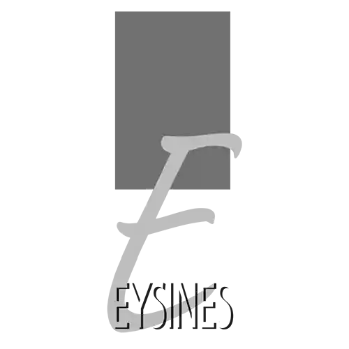 Eysines w